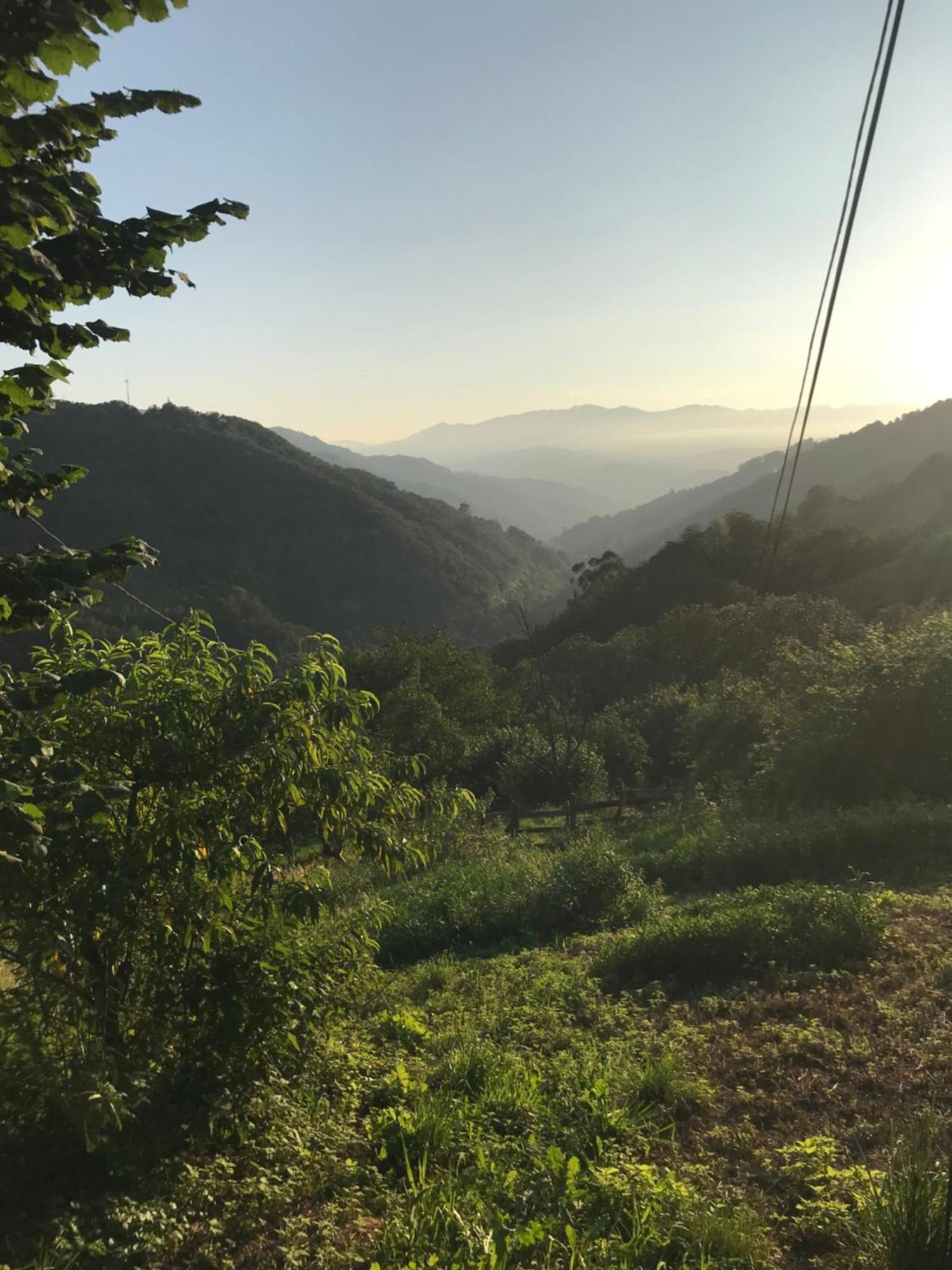 Armiello Casa Milu 빌라 외부 사진